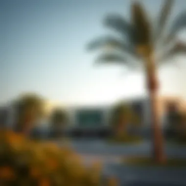 Notable A Comprehensive Examination of Schools in Rashidiya, Dubai