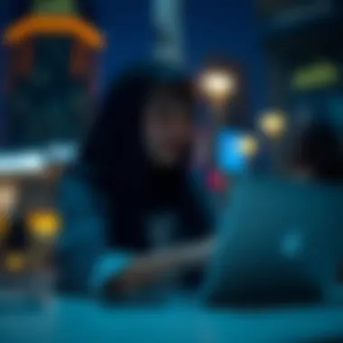 User accessing visa information online