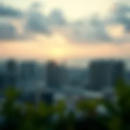 A Comprehensive Look at مدينة الفلاح Introduction