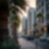 An In-Depth Examination of Palma Holdings: Navigating the Dubai Real Estate Terrain Introduction