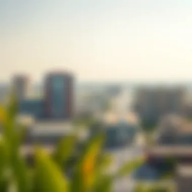 Commercial Landscape of JVC