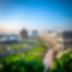 A panoramic view of Meydan showcasing its architectural marvels and greenery