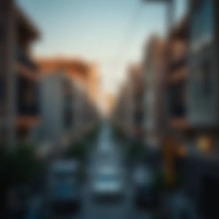 Neighborhood view showcasing affordable living in Dubai