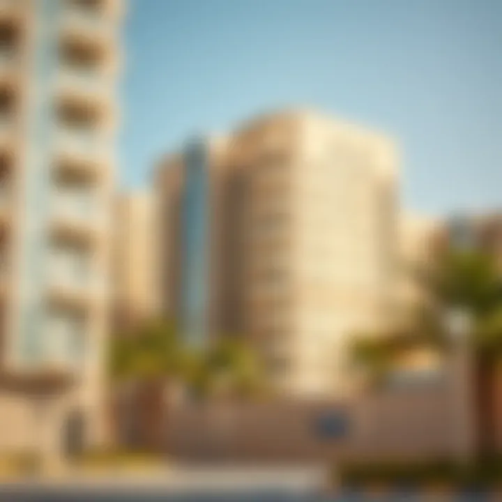 Exploring 1 BHK Rentals in Al Qusais Summary