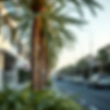 Notable Exploring Acacia Avenue: A Comprehensive Guide to Dubai's Hidden Gem