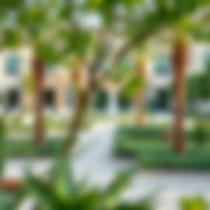 Beautifully landscaped community space in Dubai