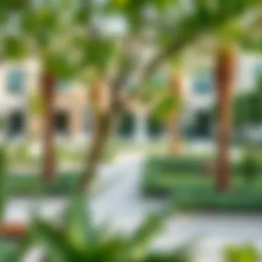 Community Spaces Enhancing Identity in Dubai Beautifully landscaped community space in Dubai