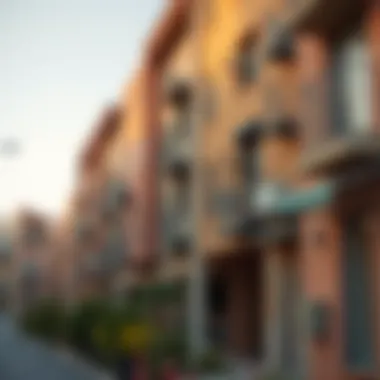 Vibrant Neighborhood in Dubai A vibrant neighborhood scene showcasing affordable housing options