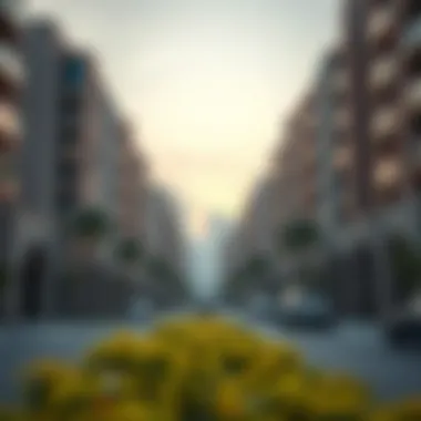 Residential Community Near Al Abraj Street Residential community vibes near Al Abraj Street