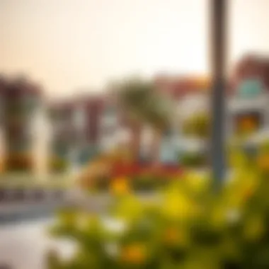 Luxurious Amenities in Al Zahia Amenities available in Al Zahia community