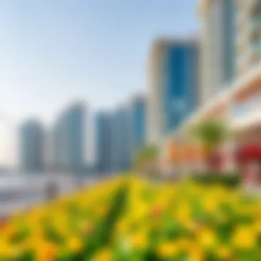 Cultural and Recreational Richness Near Beach Rotana Residences Vibrant surroundings of Beach Rotana Residences reflecting cultural richness and recreational opportunities