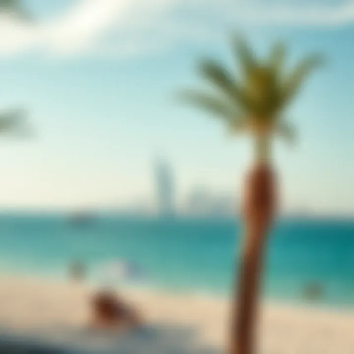Scenic view of Palm Island beach