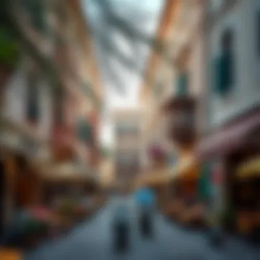 Cultural Scene with European Heritage Vibrant cultural scene influenced by European heritage