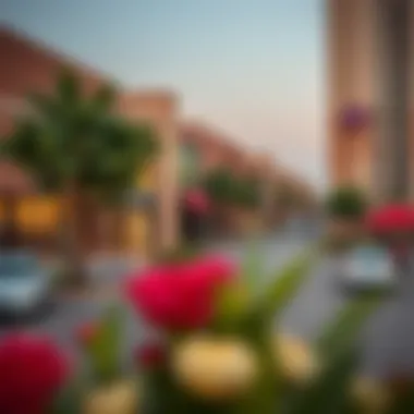Local Amenities Enhancing Life in Muhaisnah Overview of local amenities in Muhaisnah Residence, featuring shops and recreational facilities