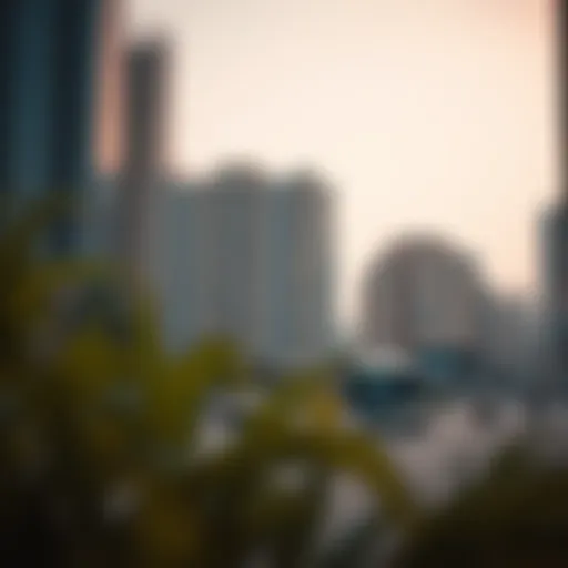 Exploring Partition for Rent in International City Introduction