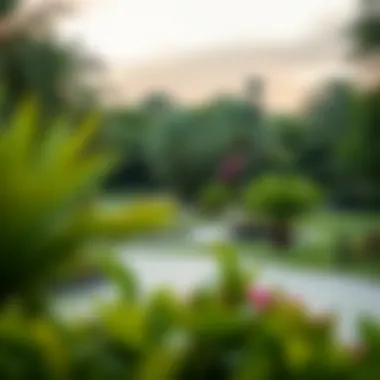 Recreational Spaces in Affluent Areas Lush green parks and recreational areas