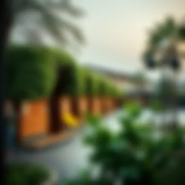 Exploring Shalihaat Mebzara Al Khdra: A Comprehensive Guide to Green Chalets Summary Exploring Shalihaat Mebzara Al Khdra: A Comprehensive Guide to Green Chalets Summary