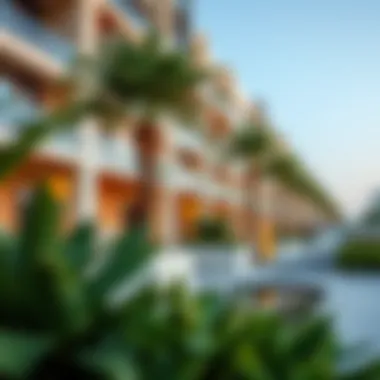 Community Features and Amenities Amenities available in International City