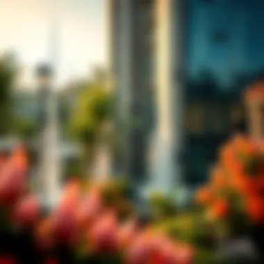 Exploring the Global Garden of Dubai Summary