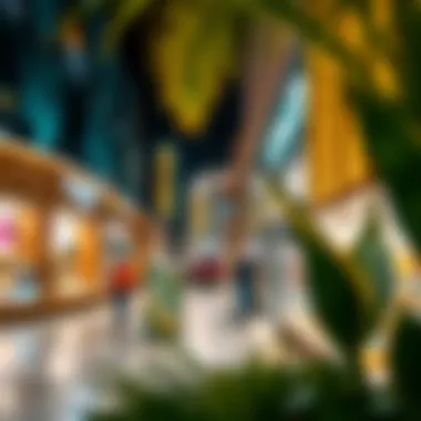 Exploring the Retail Landscape: Shops in Dubai Summary Exploring the Retail Landscape: Shops in Dubai Summary