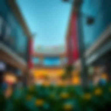 Exploring the Shops at Mushrif Mall: A Comprehensive Overview Summary