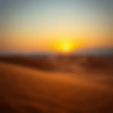 Desert landscape during golden hour