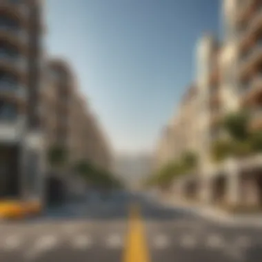 Investment Potential in ذا فالي راس الخيمة Investment opportunities in ذا فالي راس الخيمة