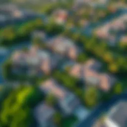 Aerial view of Victory Heights community showcasing lush greenery and homes