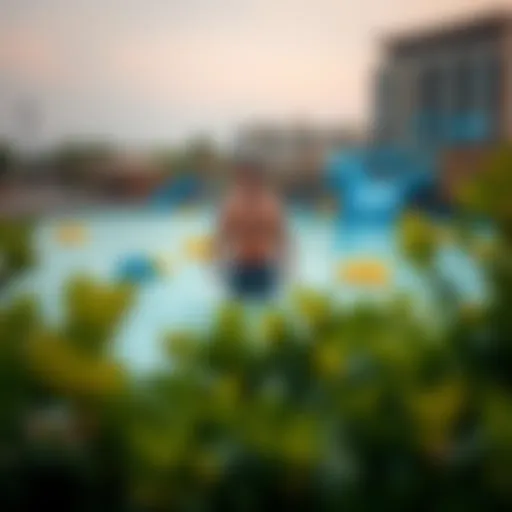 Exploring the Water Park in Damac Hills 2: A Comprehensive Guide Introduction