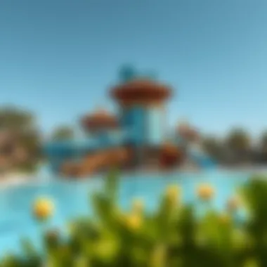 Notable Exploring the Water Park in Damac Hills 2: A Comprehensive Guide
