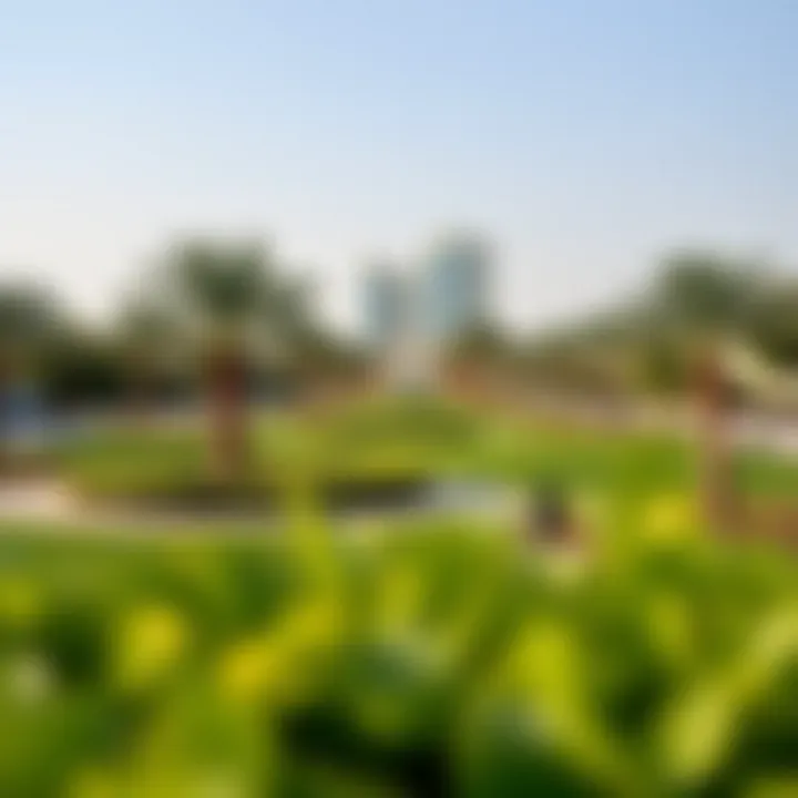 Tranquil parks and recreational areas in Ibtown Muradif