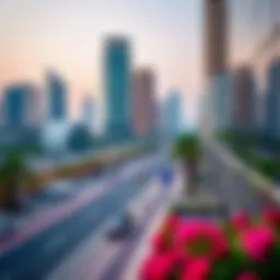 Overview of Dubai's visa types and categories