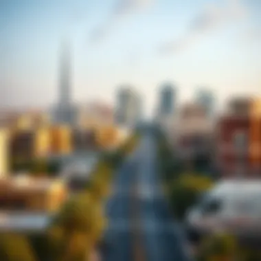 Diverse Property Landscape of Dubai Diverse property landscape in Dubai