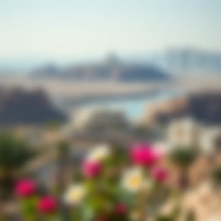 Vibrant surroundings of Fanduq Hasn Hatta highlighting its scenic location
