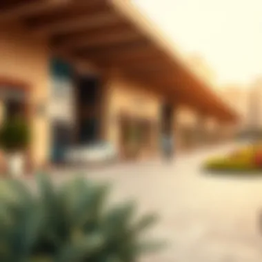 Notable Hamriya: An In-Depth Exploration of Its Role in Dubai's Property Market Notable Hamriya: An In-Depth Exploration of Its Role in Dubai's Property Market