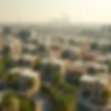 Bustling Neighborhood in Dubai Overview of a bustling neighborhood in Dubai