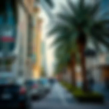 Leisure Destinations in Dubai Summary