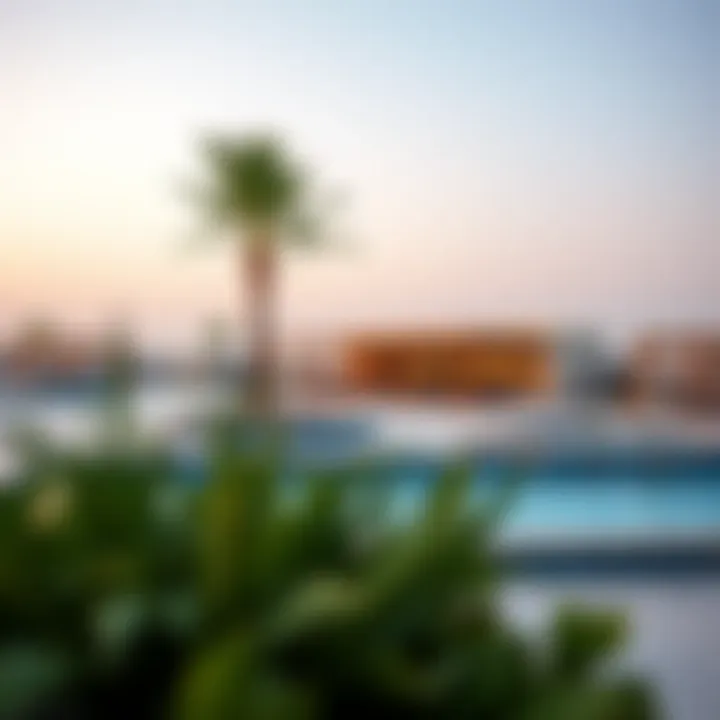 Luxury Amenities in Manazel Al Khor Luxury amenities available in the community of Manazel Al Khor