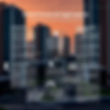 Rental Process and Legal Aspects in Dubai Infographic explaining rental process and legal aspects in Dubai