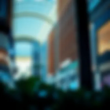 Navigating the Closest Malls: A Guide to Shopping in Dubai Introduction
