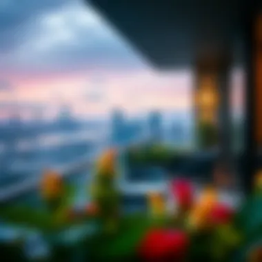 Stunning Views from Savoy Suites Stunning views from Savoy Suites balcony