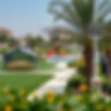 Vibrant community parks and recreational areas in Shabiya 11