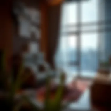 Essential Amenities for Comfortable Living Amenities of a studio apartment in Raqqa, Dubai