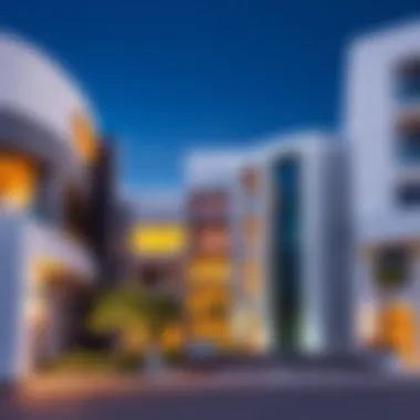 Architectural marvels in Shees Wadi, reflecting modern Dubai design trends.
