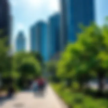Urban Strolls: Navigating the Green Heart of Our Cities Summary Urban Strolls: Navigating the Green Heart of Our Cities Summary